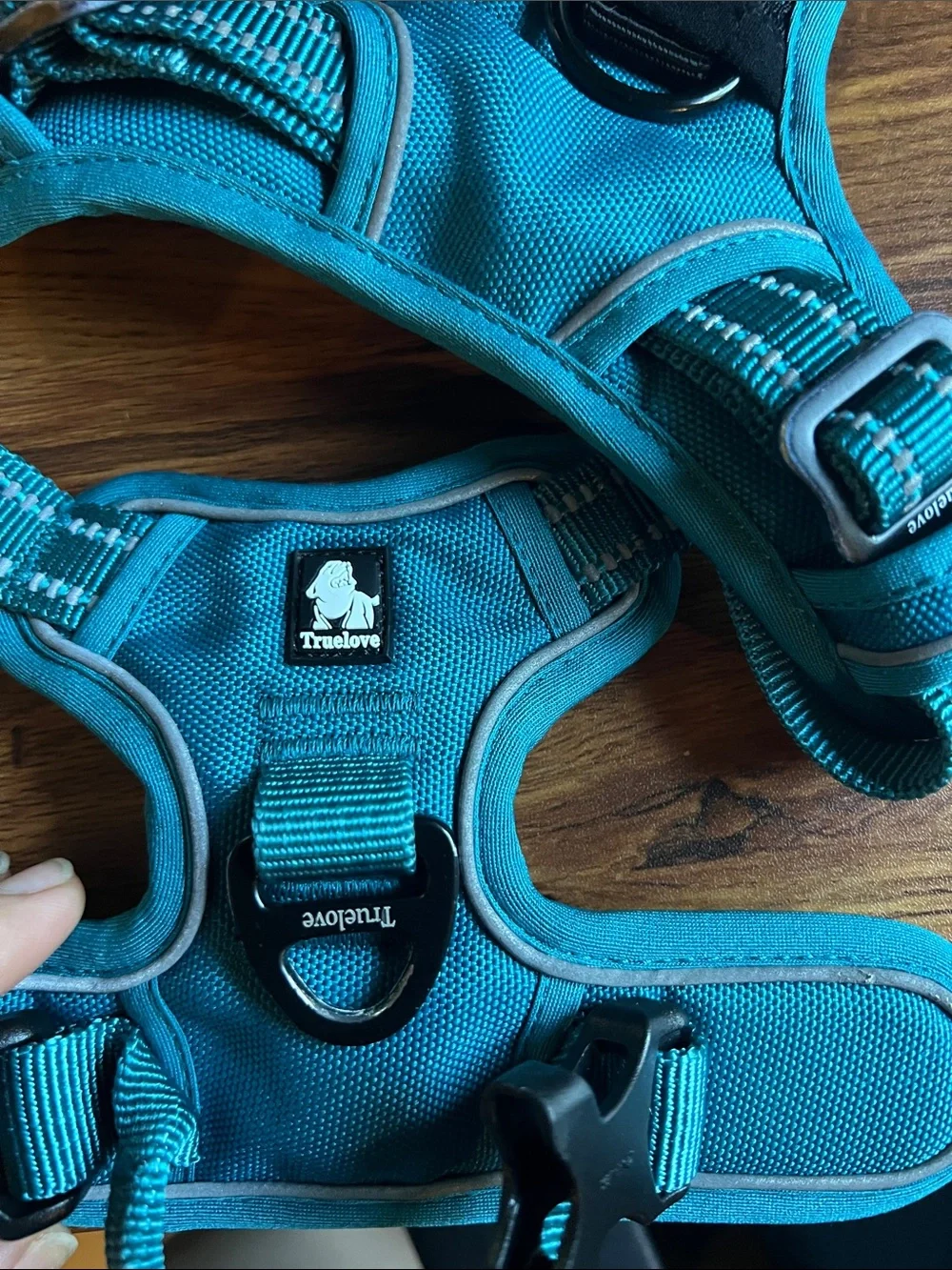 Truelove Teal Dog Harness - Padded, Size Small - Picture 2 of 3